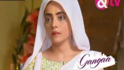 Coperta episodului Episodul 354 din emisiunea Gangaa