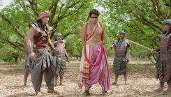 Coperta episodului Episodul 341 din emisiunea Chakravartin Ashoka Samrat